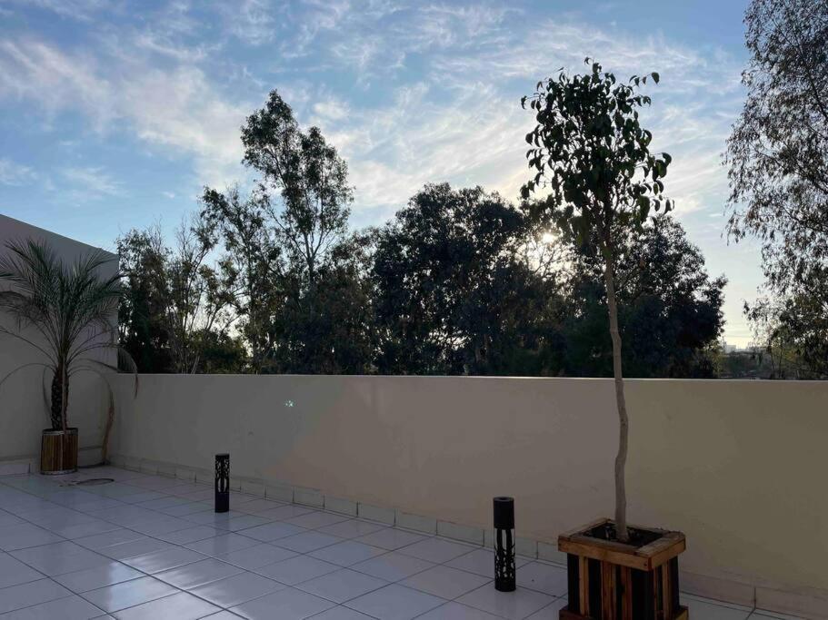 Otay Studio Great Patio Near Otay Crossing & Airport 提华纳 外观 照片